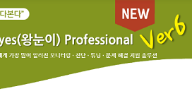SQLBigEyesProV6Header