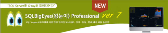 SQLBigEyesProV7Header